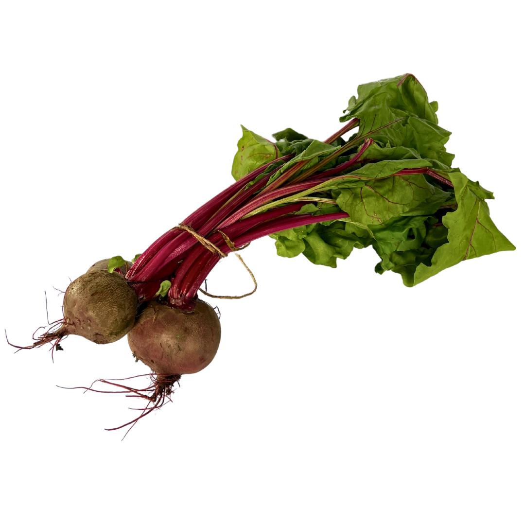 Rode biet